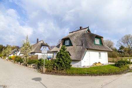 乌泽多姆典型的芦苇屋顶村屋图片