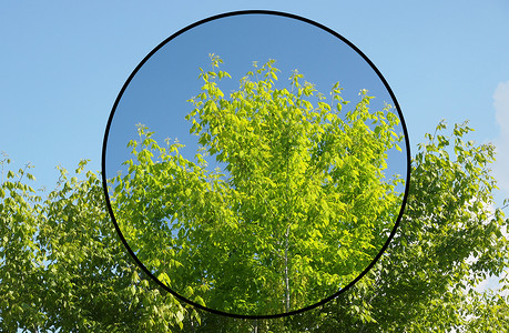偏光滤镜对树木和天空的影响以改善景观的外观天空更背景图片