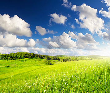 明亮的绿色草原和云彩图片