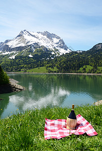 瑞士阿尔卑斯山草原图片