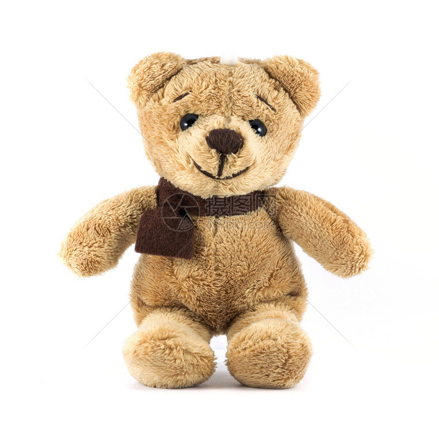 TEDDYBEAR棕色颜图片