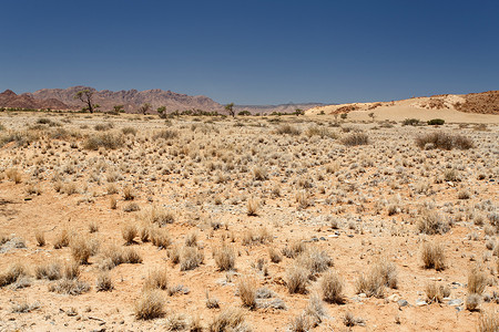 纳米布沙漠的索苏夫莱Soussusvlei图片