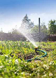 为灌溉植物浇水的花园设备喷水管喷水在图片