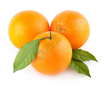 柠檬橙子图片