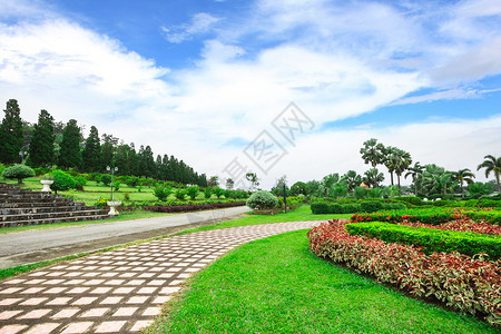泰国清莱的花园图片