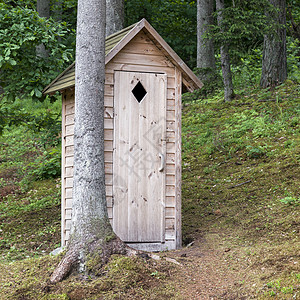 森林里的小型木制户外厕所图片