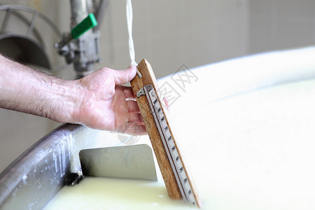 控制牛奶和酪温度的奶制品手图片