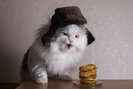 戴帽子的猫吃煎饼图片