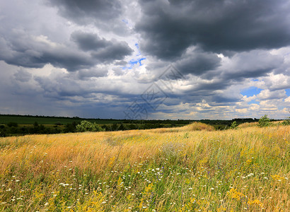雷雨前乌云下的夏日草甸图片