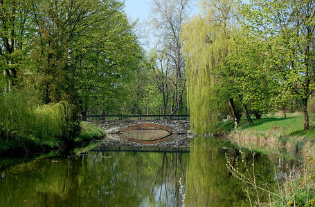 穿过湖面的石桥反射着湖边的海岸是春天树图片