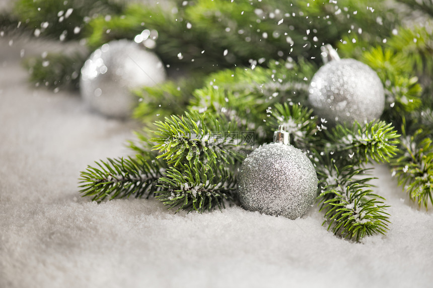下雪和圣诞树枝的圣诞树摆设图片