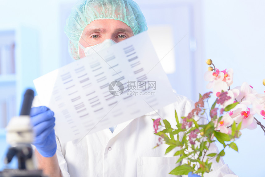 科学家对用于植物GMO实验的DNA序列图片