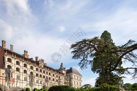 法国布卢瓦中世纪皇家城堡背景