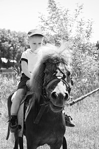 男孩在大自然上骑小马黑白相间图片