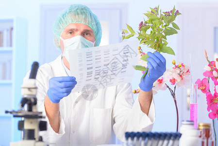 科学家对用于植物GMO实验的DNA序列图片