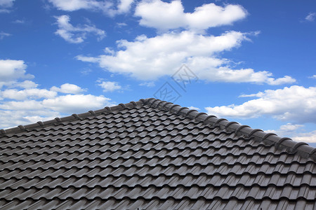 在蓝天背景下建造黑屋顶校背景图片