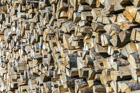 很多木桩堆积的木材图片
