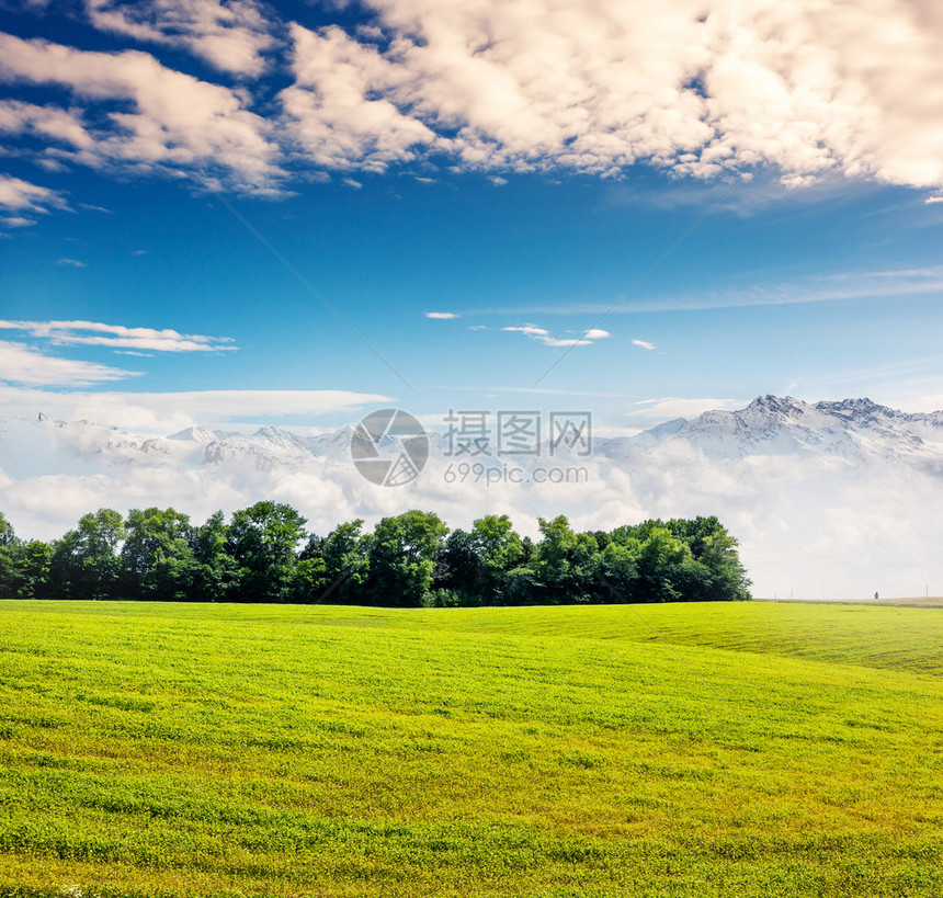 美丽的晴天在蓝天的领域阴天乌克兰欧图片