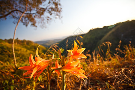 山景中的夕阳图片