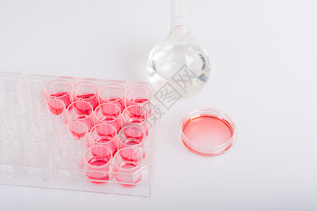 用于生化实验的实验室器皿图片
