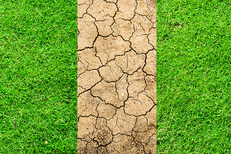 干旱打破了地面和绿草的裂缝图片