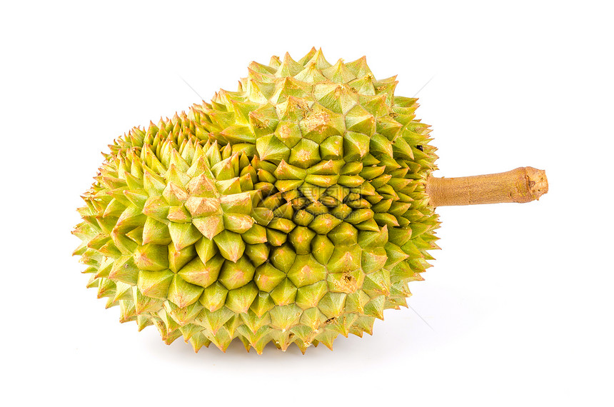 Durian水果图片