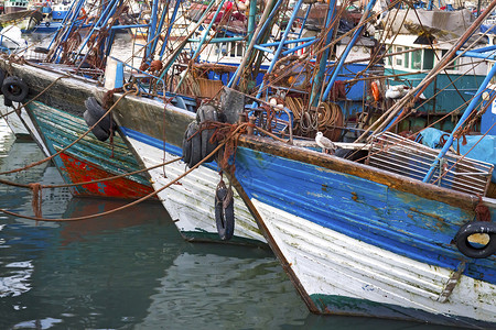 在Essaouira港大西洋沿岸图片