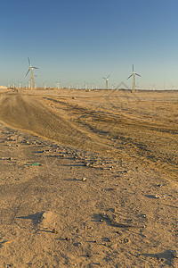 埃及的风电场图片