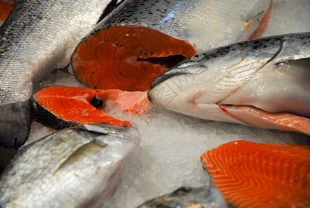 威尼斯市场的鲜鱼图片