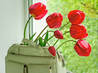 窗台上鲜艳的郁金香花和浅色皮革女包图片
