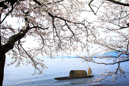 东京美丽的樱花花海高清图片