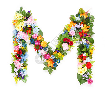 用树叶和花朵制成的字母图片