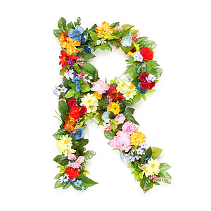 用树叶和花朵制成的字母图片