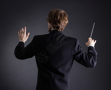 指挥管弦乐队的人图片