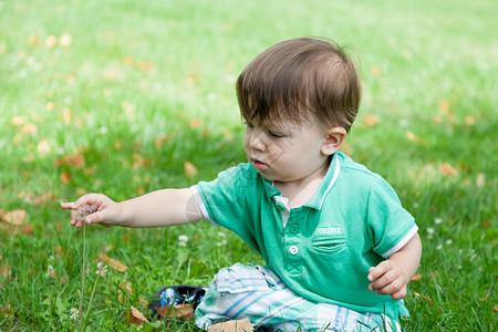 男孩在花园里摘花背景图片