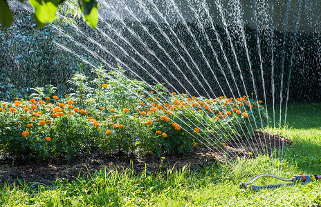 洒水器浇灌花园背景图片