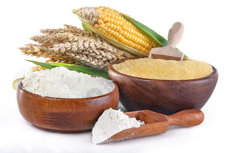 玉米和小麦面粉图片