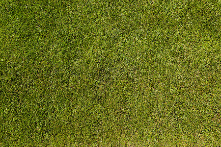 完全绿色的自然足球地盘从图片