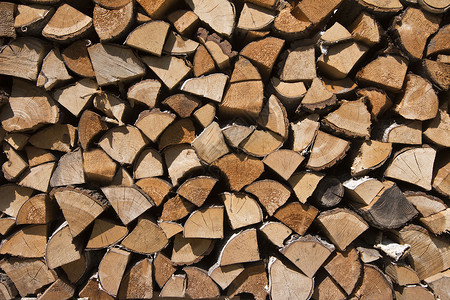 硬和软混合的砍木材图片