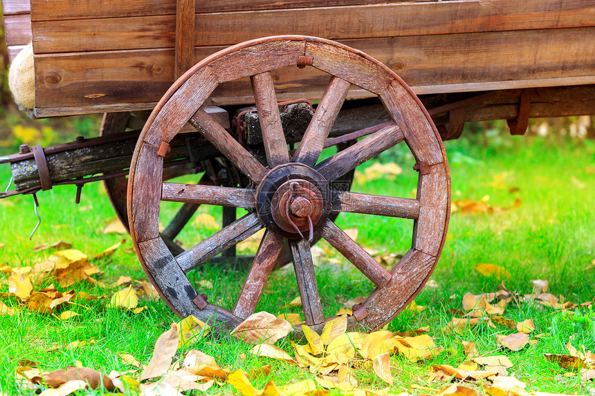 秋季公园的伏登马车旧轮回图片