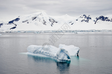 南极洲在海洋中漂流的非表格冰山阴天的南极图片