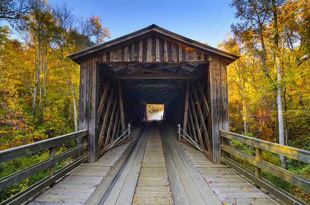 美国佐治亚州奥科尼秋季的长者廊桥图片