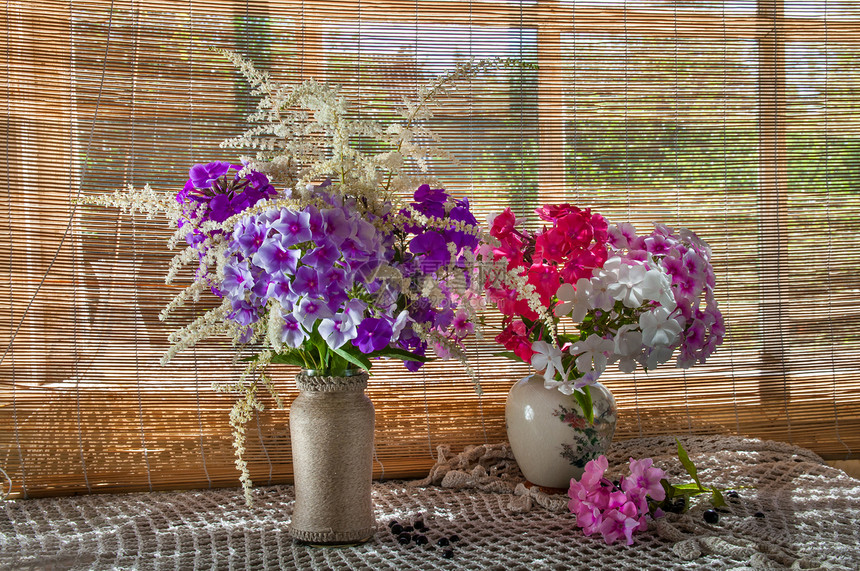 两束紫罗兰色和粉色福禄考花束图片