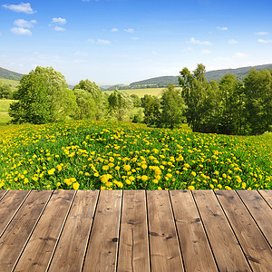 与木板条的春天风景图片