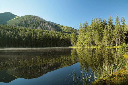 波兰喀尔巴阡山脉的池塘图片