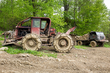 推土机和满载原木的旧卡车在森林里图片