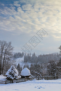 冬季风景黎明时图片