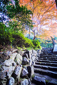 2013年11月22日本京都的H背景图片