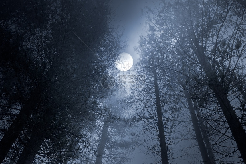 在雾密的满月图片