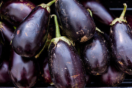 当地农贸市场出售的紫茄子高清图片